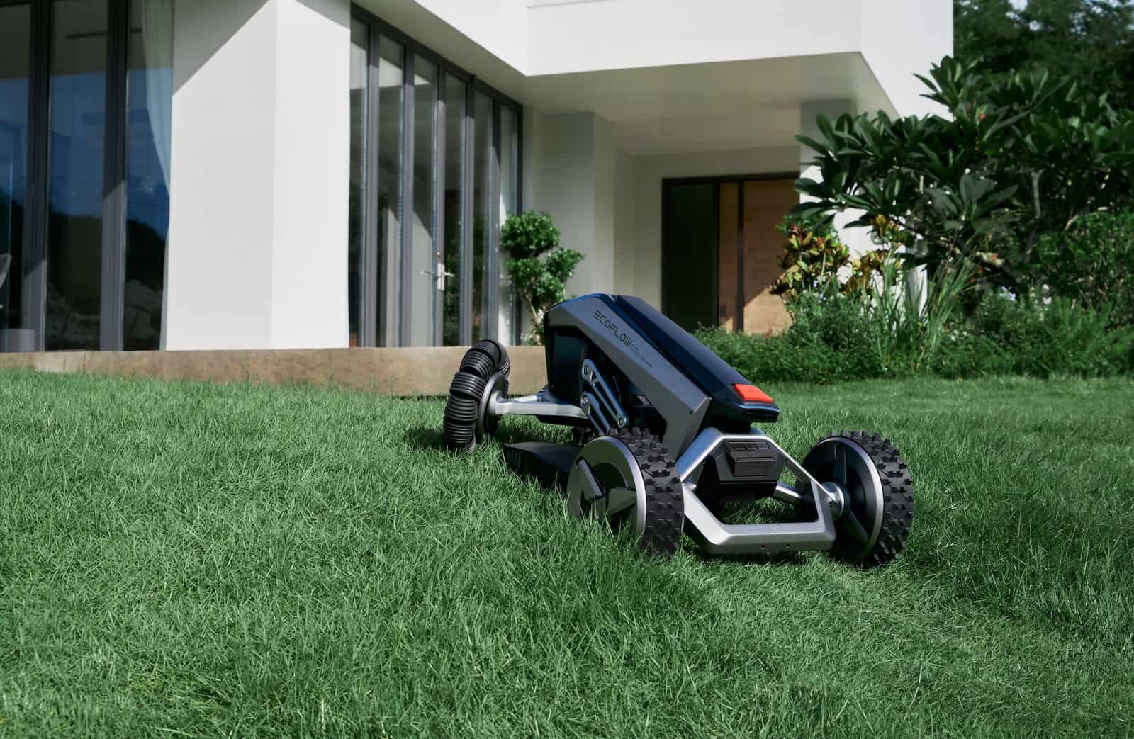Learn How to Mow a Lawn Like a Pro With Our Lawn Care Guide